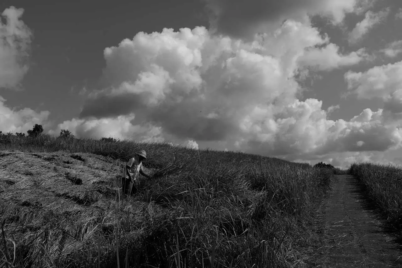 bali photography portfolio