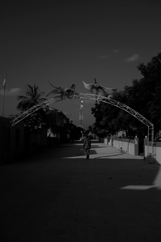 flying mantas maldives 2014 by freelance photographer mark l chaves